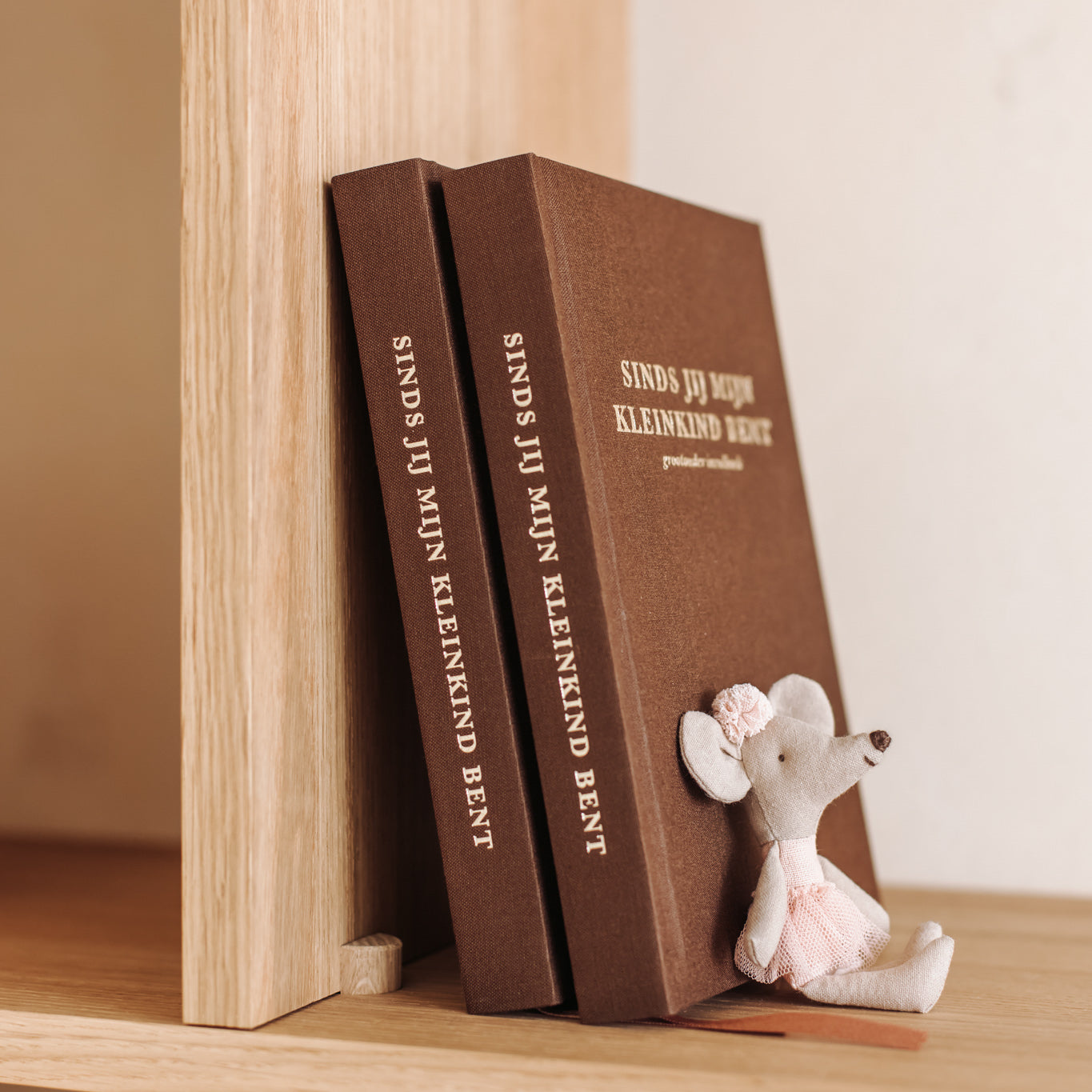 'Sinds jij mijn kleinkind bent' - Grootouder invulboek