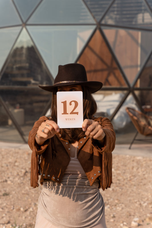 De zwangerschap vastleggen in een echo-illustratie, met mijlpaalkaarten en een babyboek