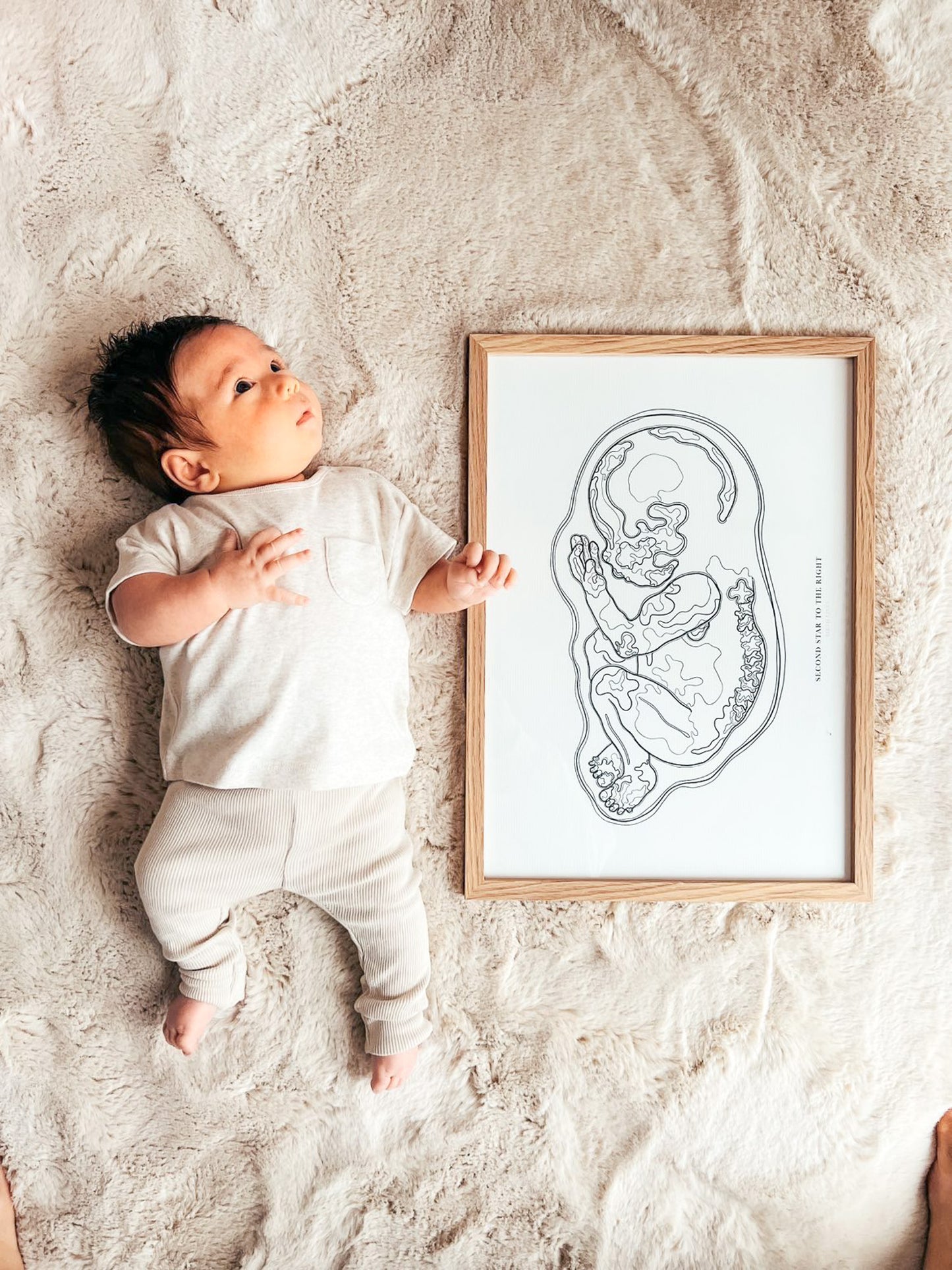 Birth Line echo-illustratie, eenling