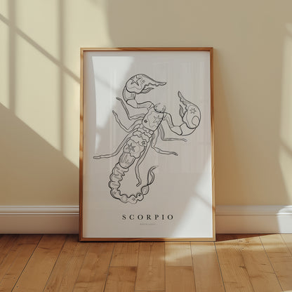 Sterrenbeeld Poster Schorpioen (Scorpio)