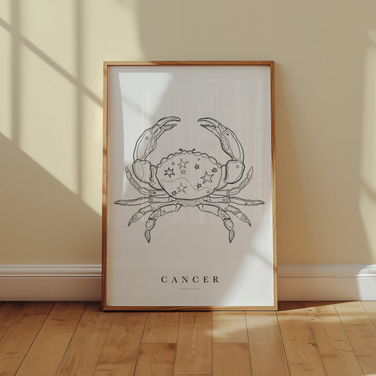 Birth Flower poster December