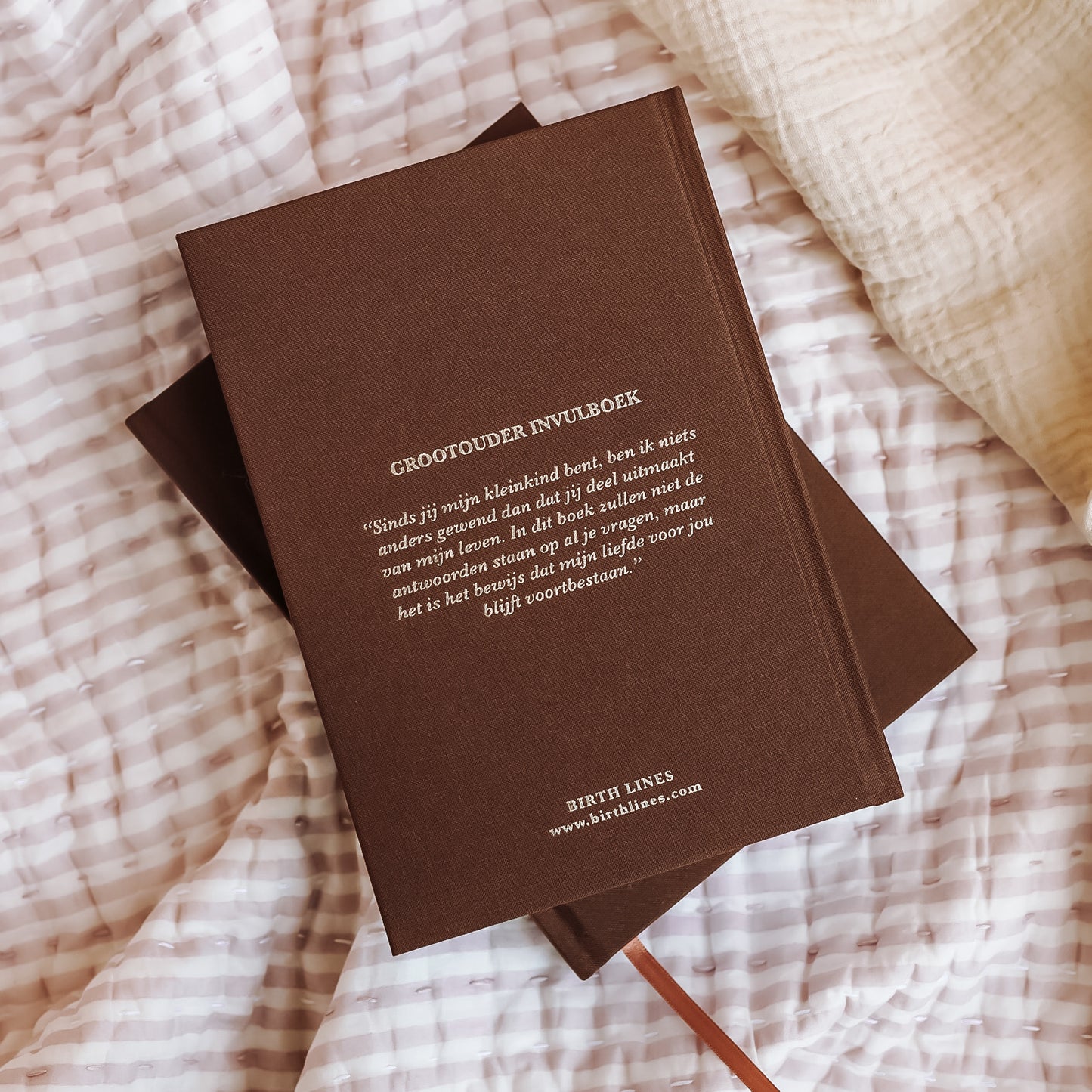 'Sinds jij mijn kleinkind bent' - Grootouder invulboek