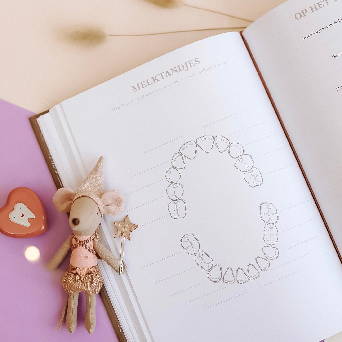 'Toen jij steeds groter werd' opgroei invulboek