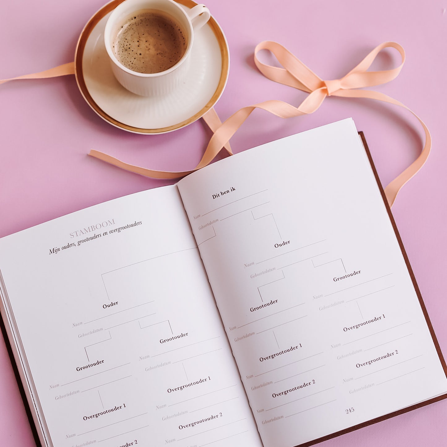'Sinds jij mijn kleinkind bent' - Grootouder invulboek