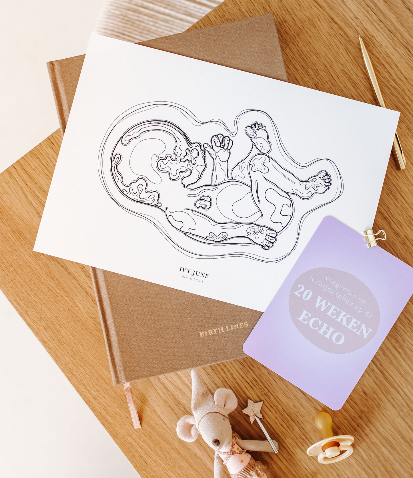 Pregnancy Milestone Cards - Set of 48 Cards