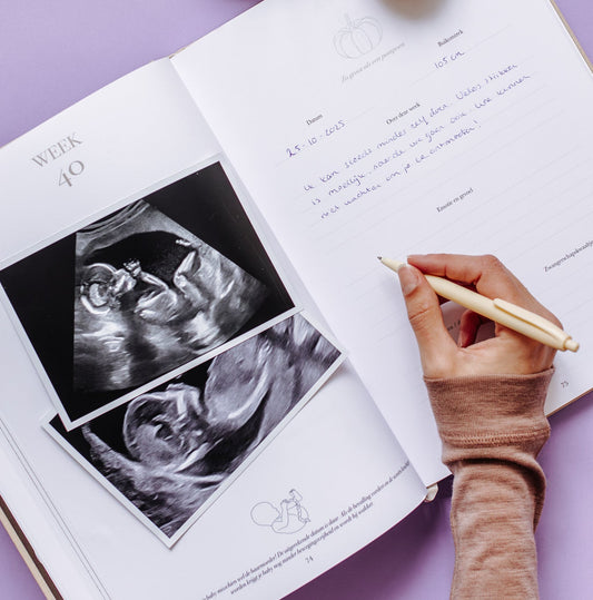 'Het begin van jouw leven' zwangerschaps- & baby invulboek