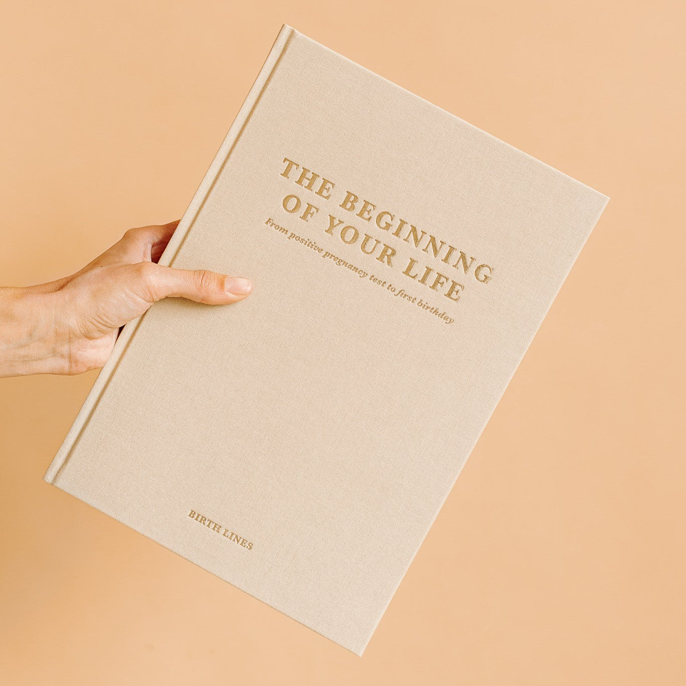 'The beginning of your life' Pregnancy & Baby Memory Book