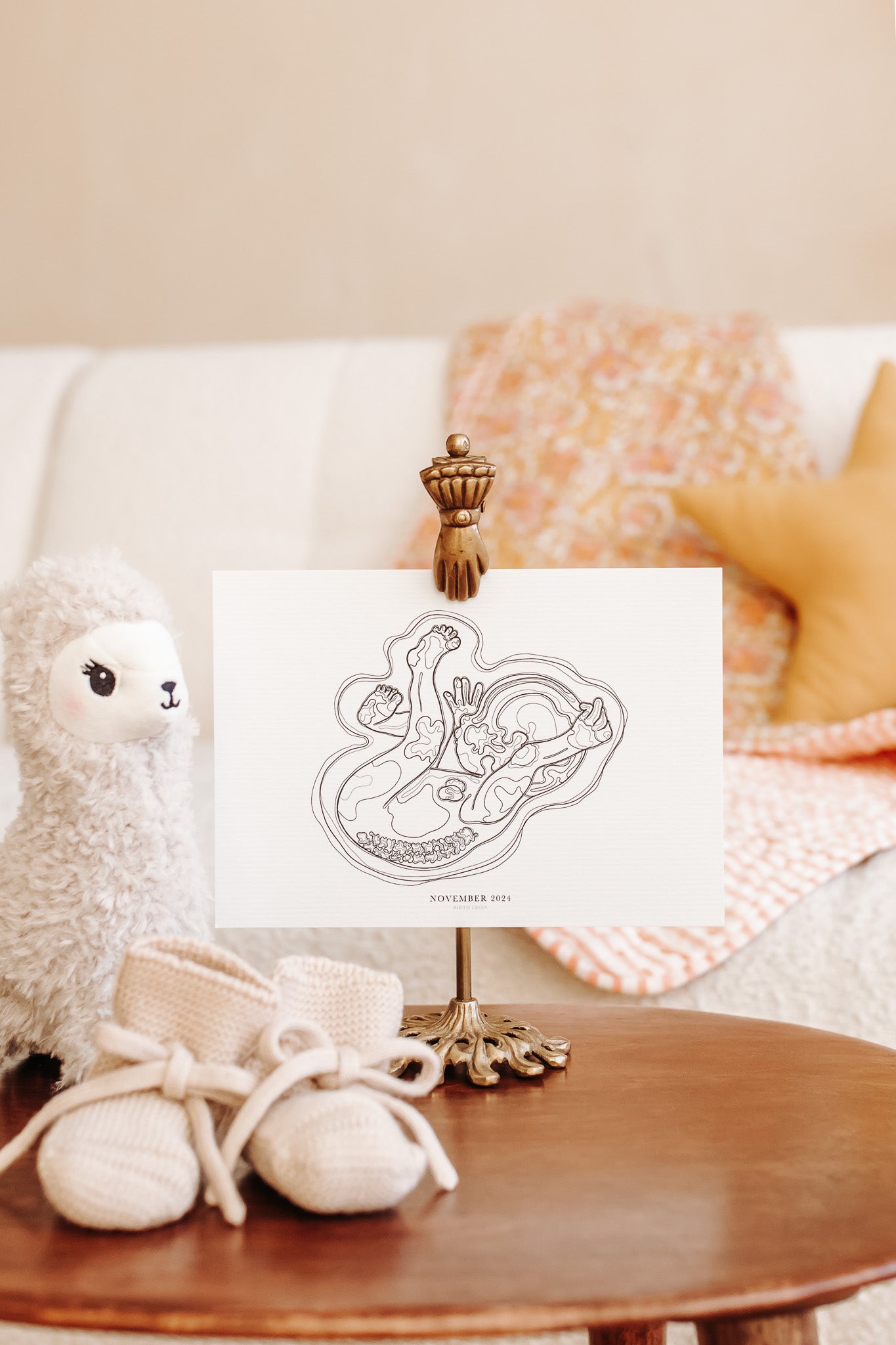 Birth Line echo-illustratie, eenling