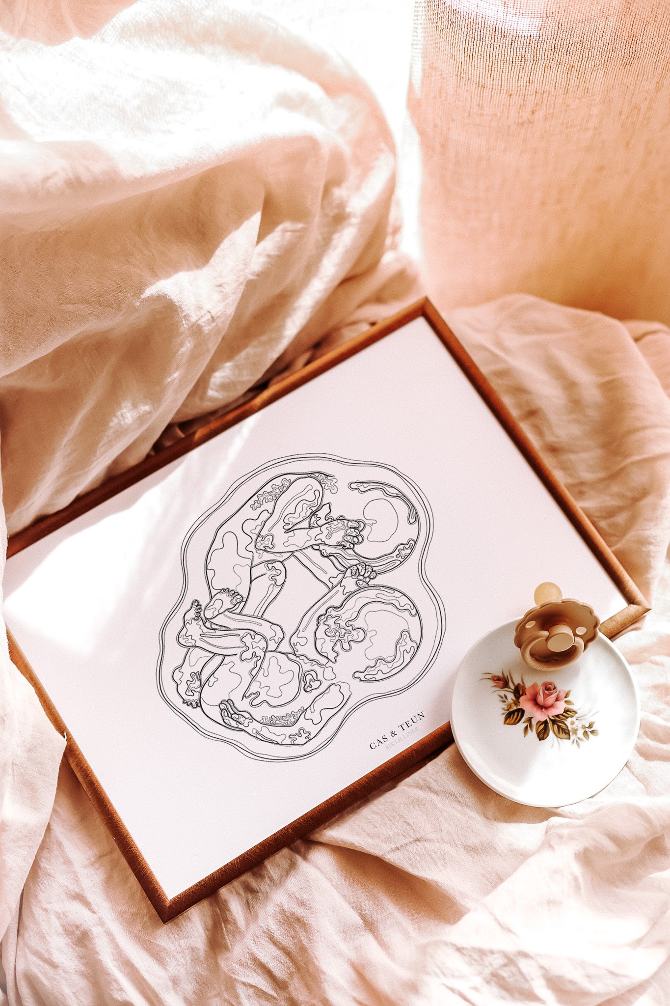 Birth Line echo-illustratie, tweeling