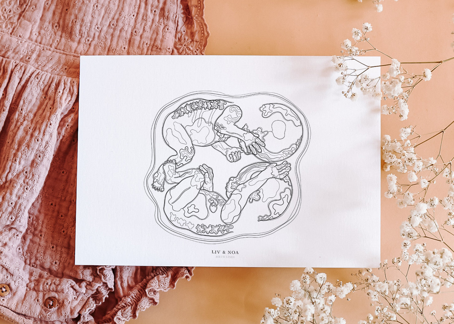 Birth Line echo-illustratie, tweeling