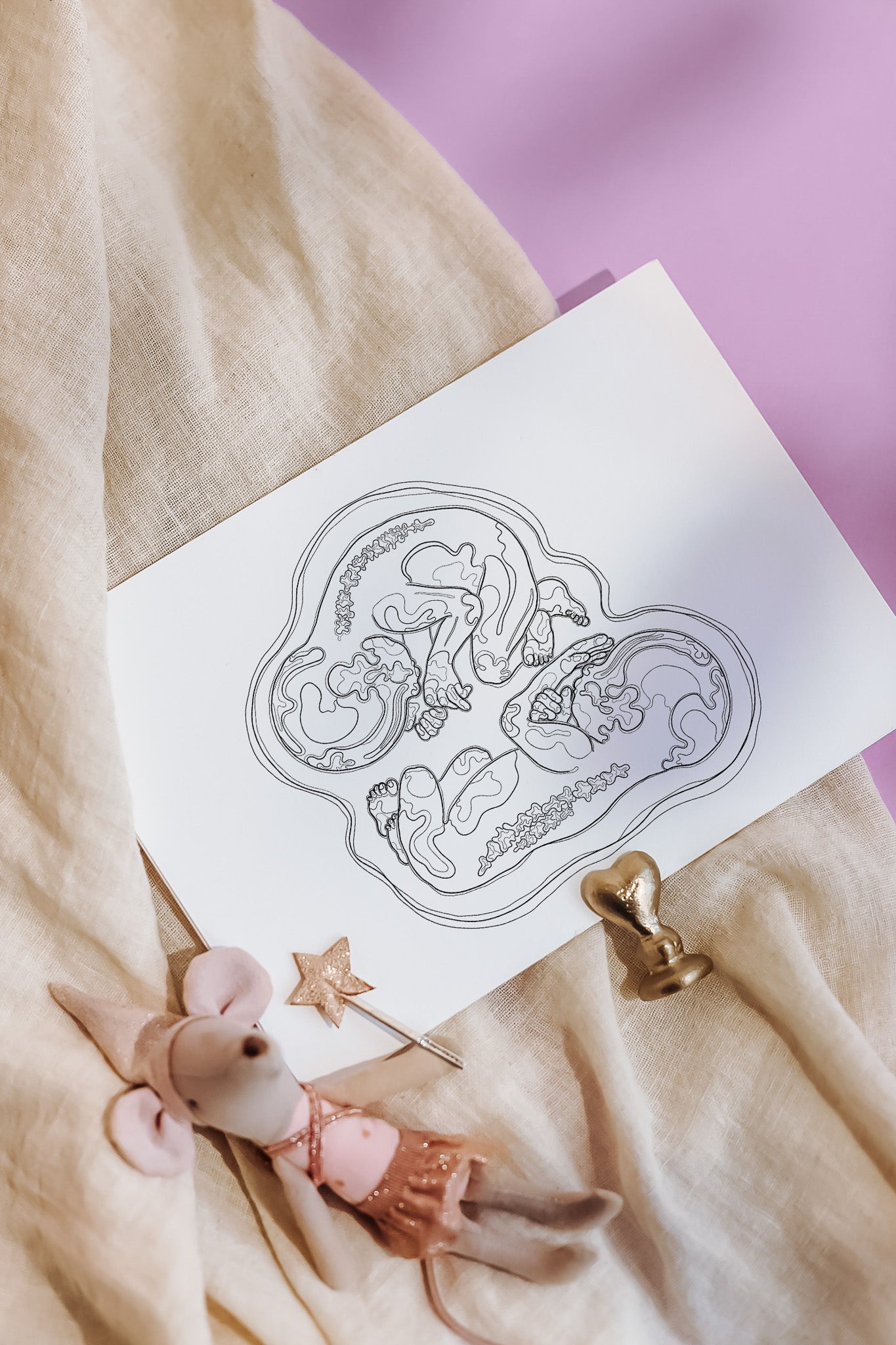 Birth Line echo-illustratie, tweeling