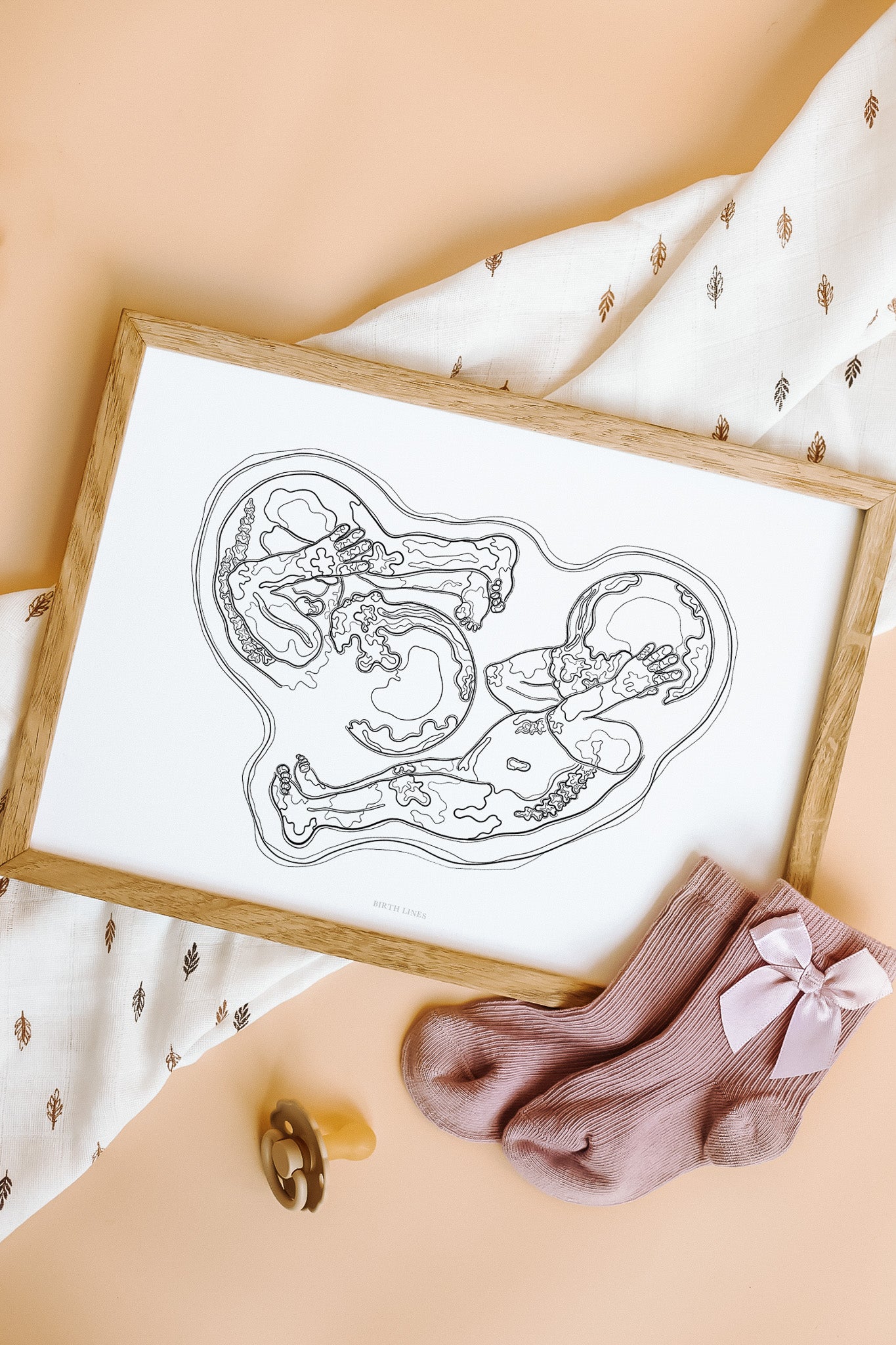 Birth Line echo-illustratie, tweeling