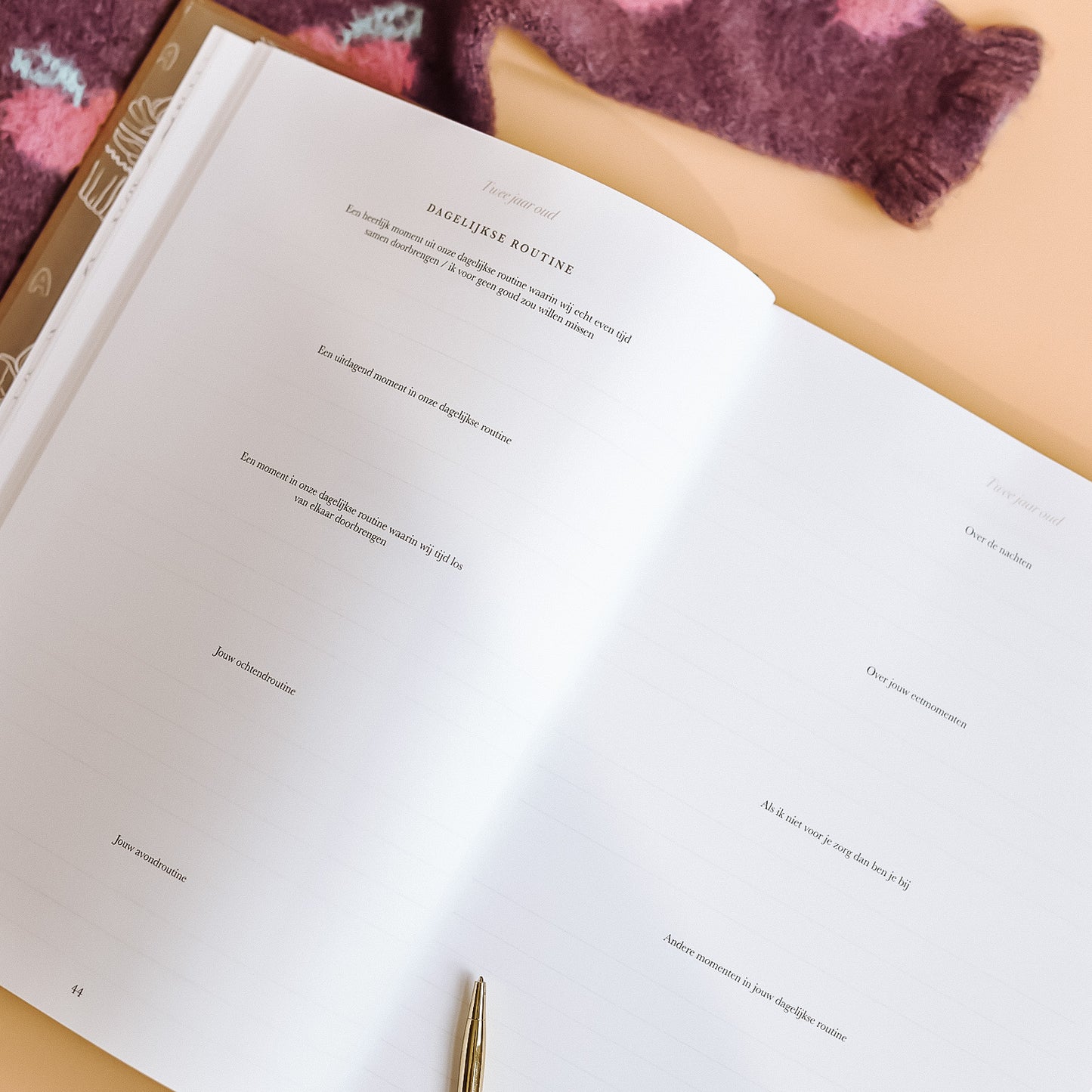 'Toen jij steeds groter werd' opgroei invulboek