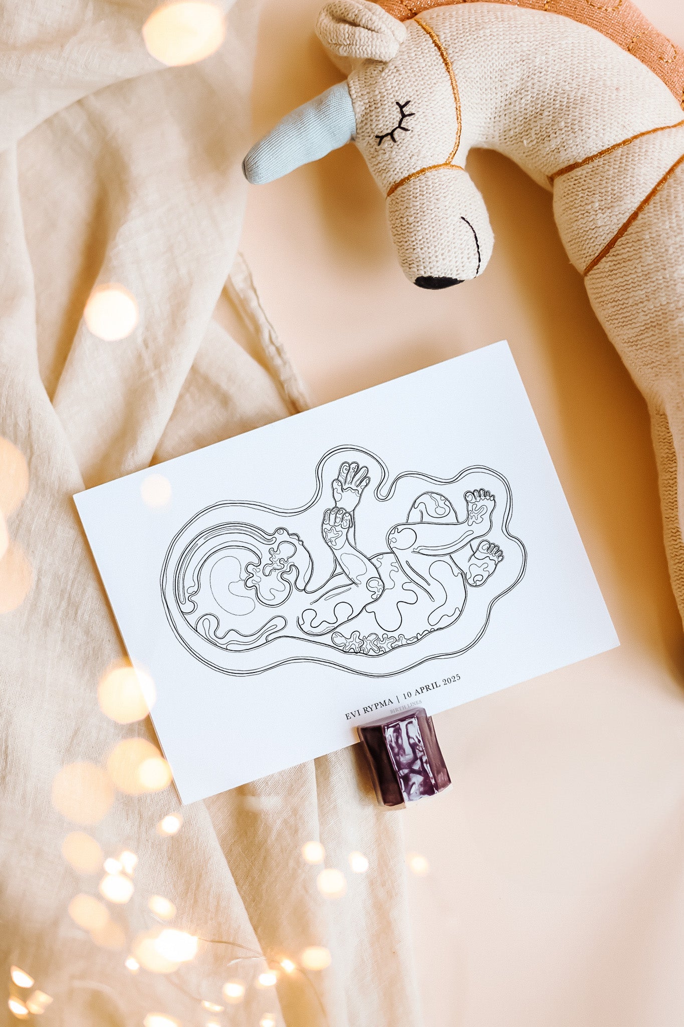 Birth Line echo-illustratie, eenling