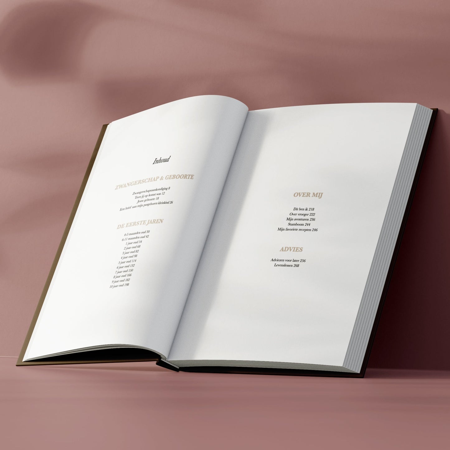 'Sinds jij mijn kleinkind bent' - Grootouder invulboek