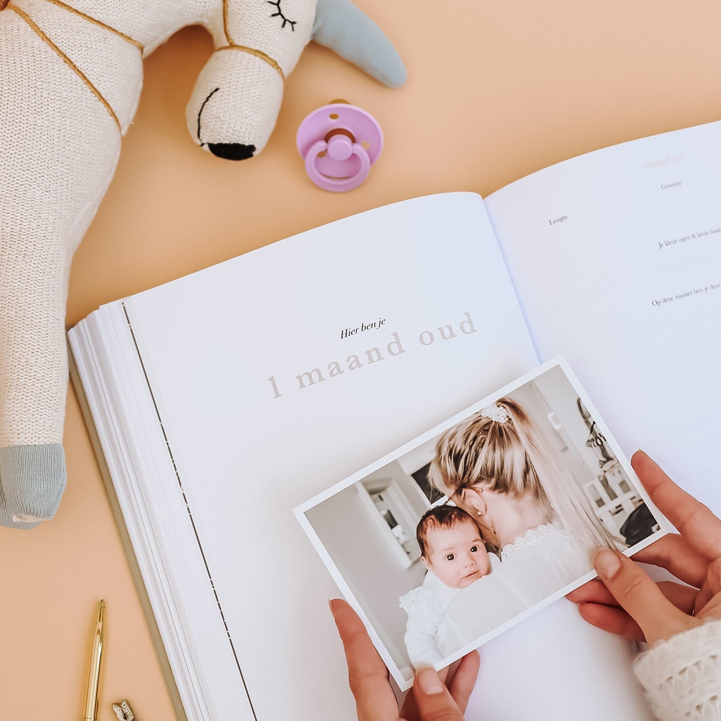 baby eerste maand pagina in zwangerschaps en baby eerste jaar invulboek met ruimte voor foto en herinneringen