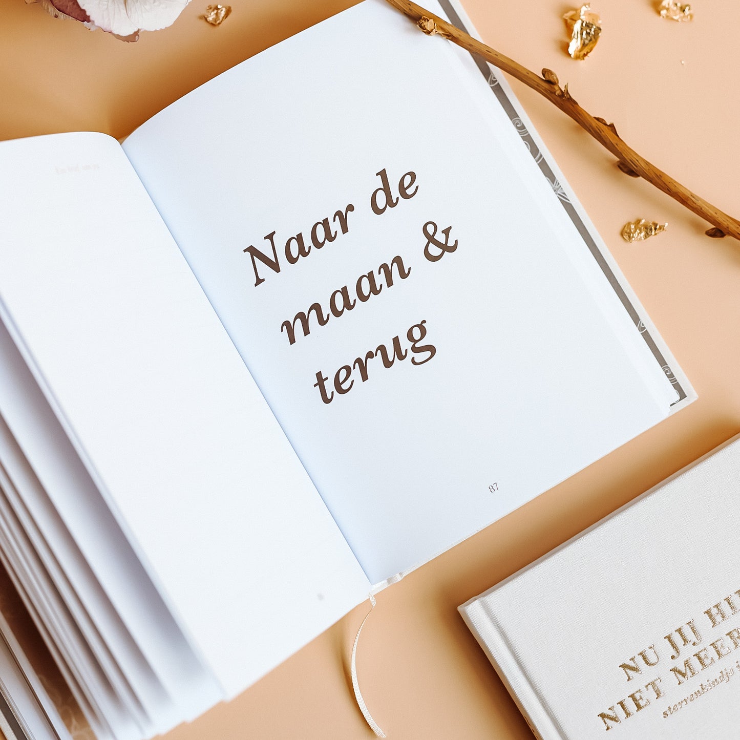 Binnenpagina van Birth Lines sterrenkindje invulboek met quote Naar de maan en terug op minimalistische pagina met warme beige achtergrond en goudkleurige details