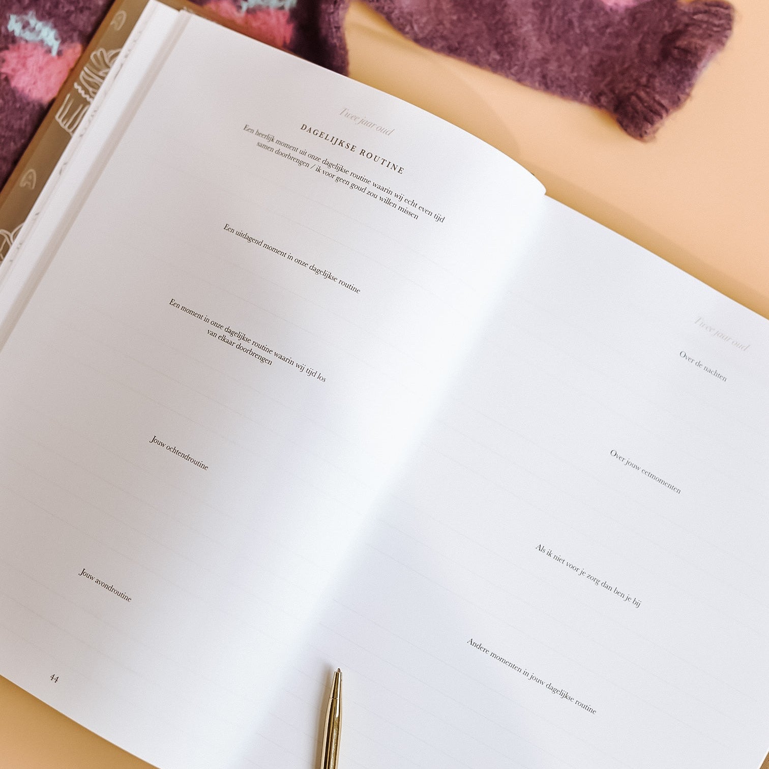 Dagelijkse routine pagina in het Birth Lines opgroei invulboek Toen jij steeds groter werd met ruimte om gewoontes en routines vast te leggen