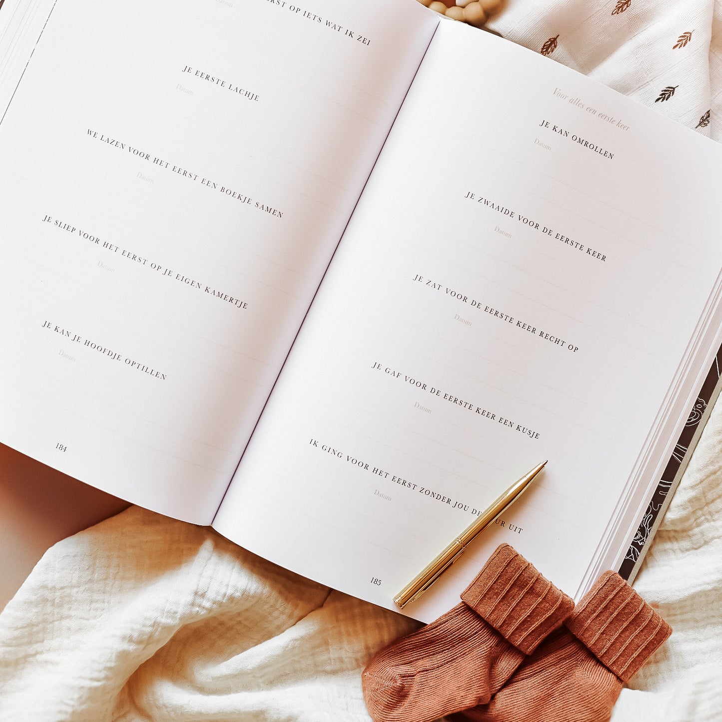 eerste keren en mijlpalen pagina in zwangerschaps en baby eerste jaar invulboek