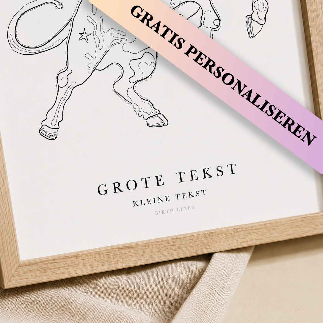 Sterrenbeeld Poster Stier (Taurus)