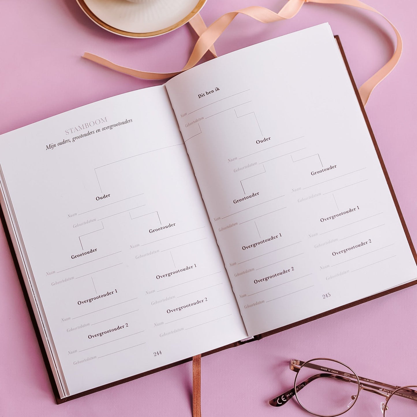 Stamboom pagina in het Birth Lines grootouder invulboek ‘Sinds jij mijn kleinkind bent’ om familiegeschiedenis en generaties vast te leggen