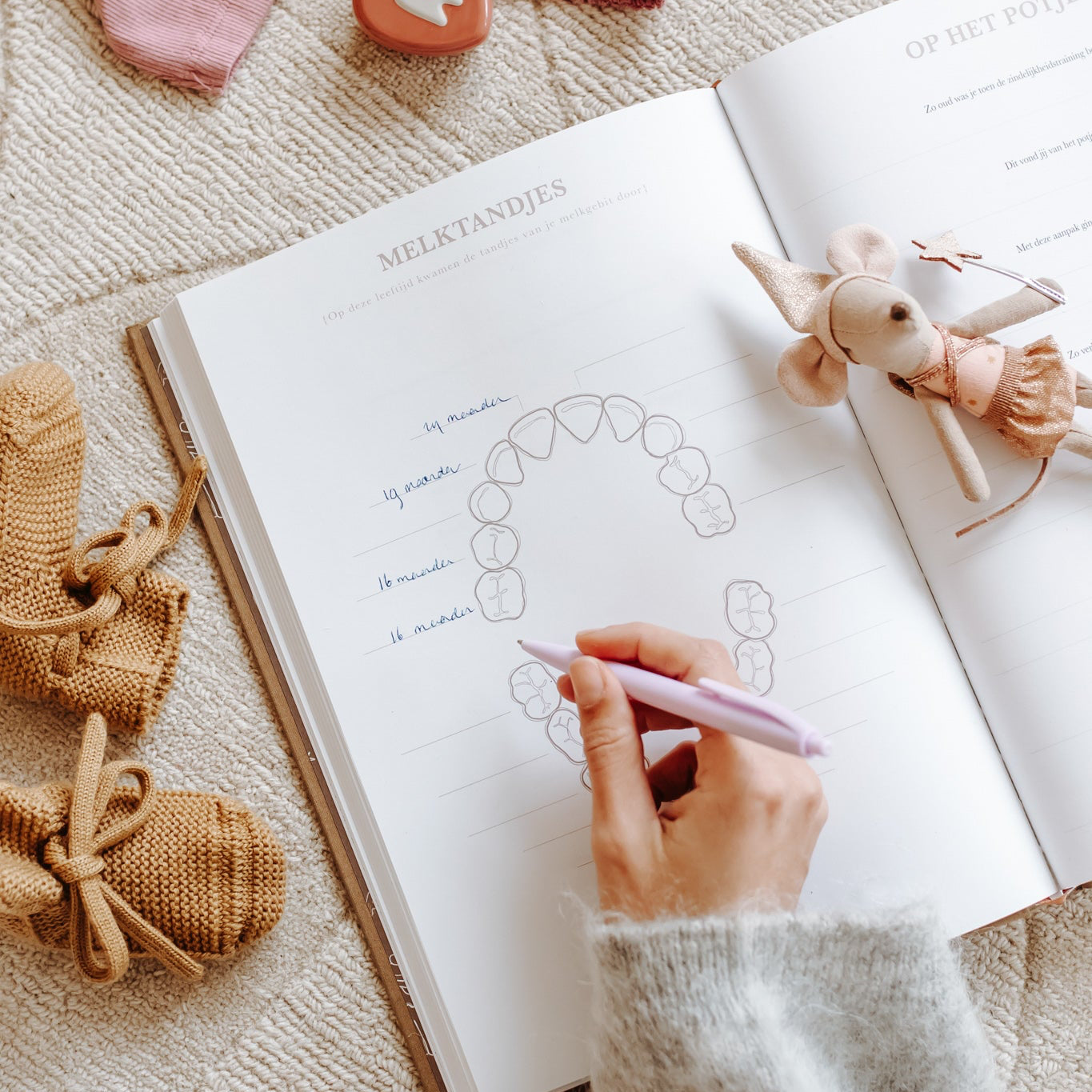 melktanden pagina in Toen jij steeds groter werd opgroei invulboek met ruimte voor tanden herinneringen