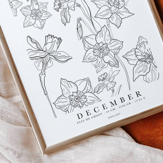 Birth Flower poster December