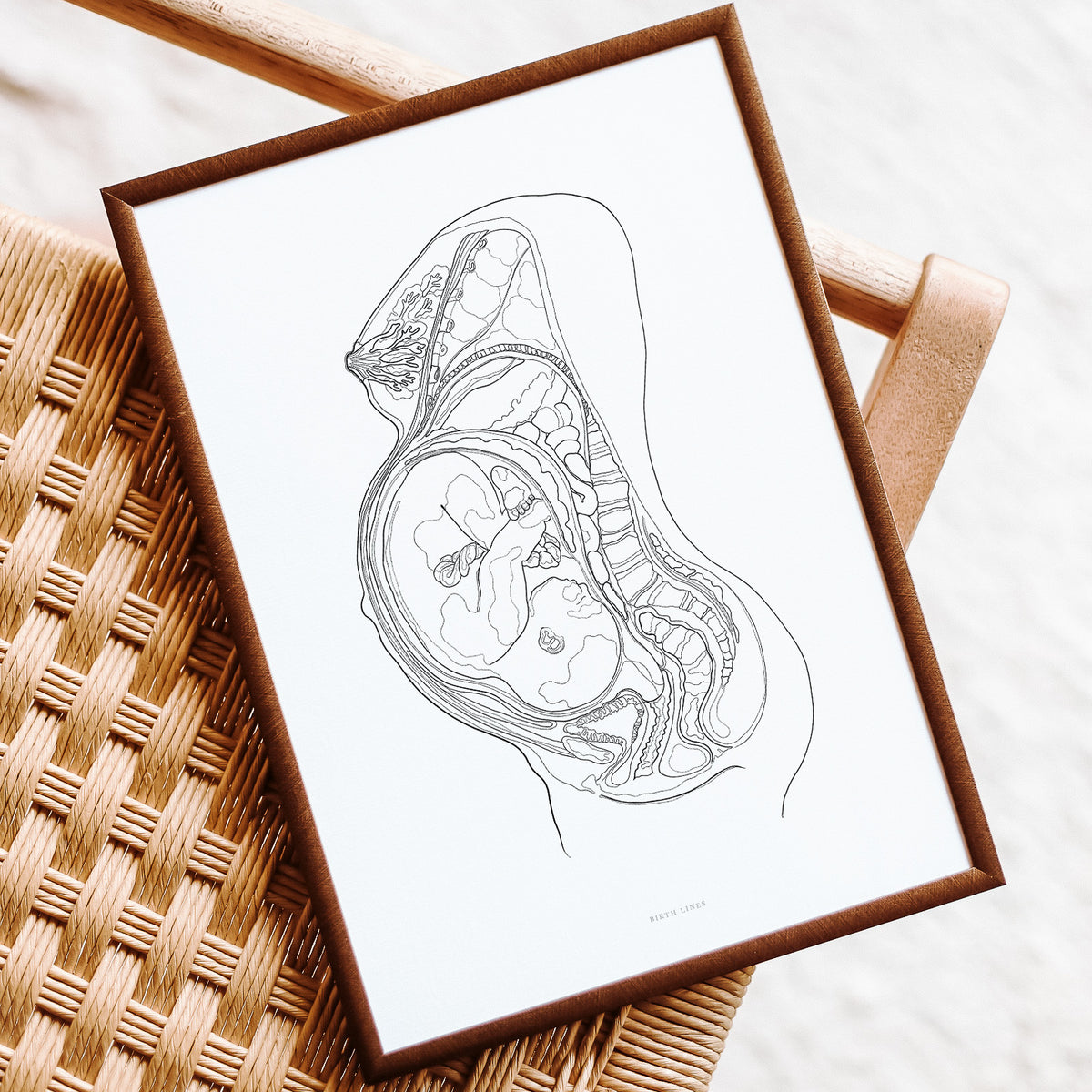 Birth Line Map The Pregnancy Anatomy poster – Birth Lines