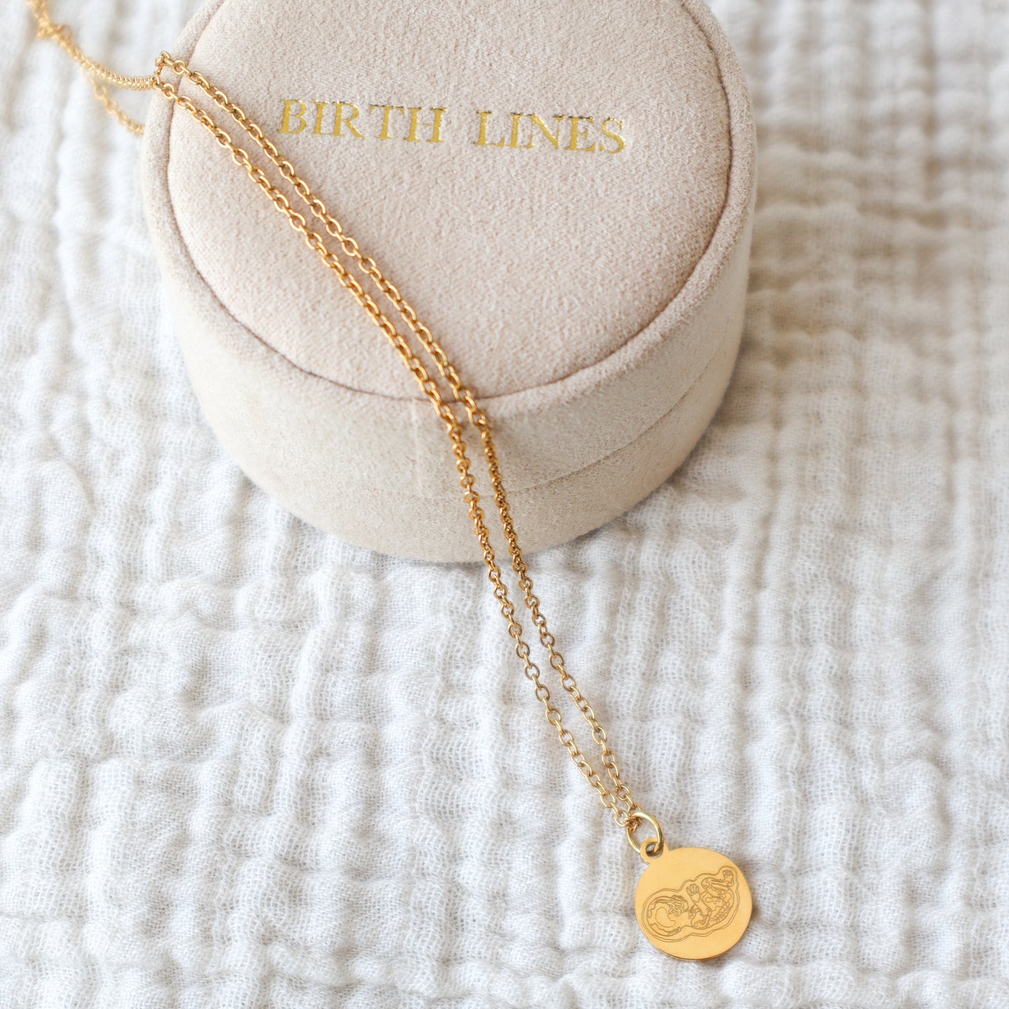Birth Lines Necklace Coin - Stainless Steel