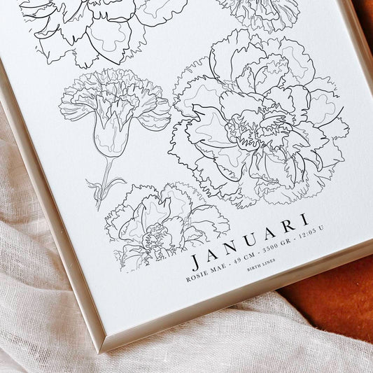 Birth Flower poster January