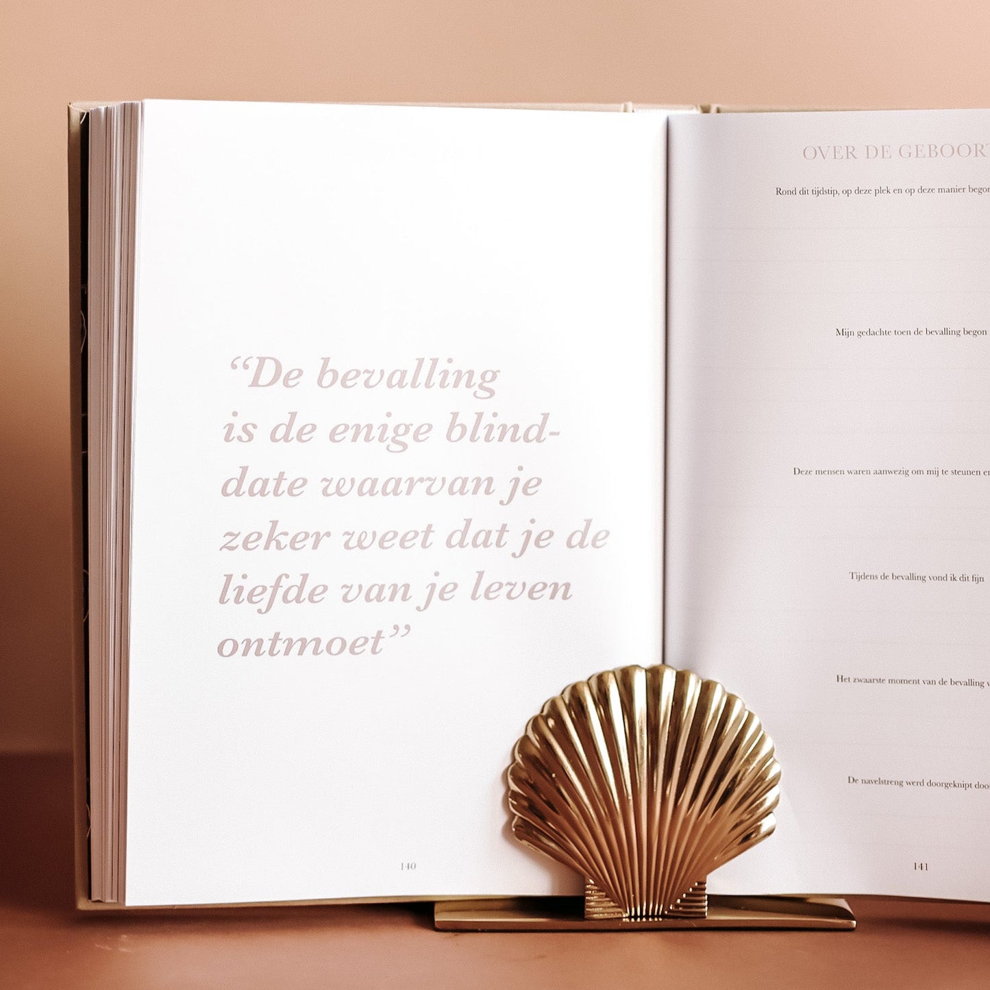 pagina over de geboorte in zwangerschaps en baby eerste jaar invulboek met ruimte voor herinneringen