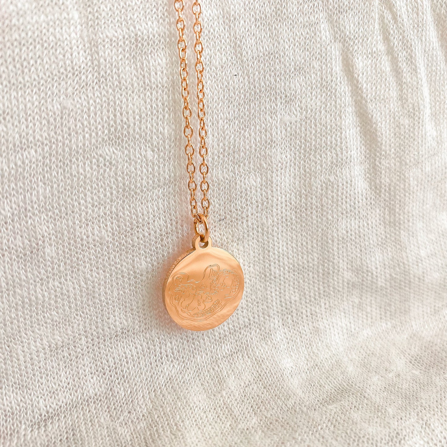 Birth Lines Necklace Coin - Stainless Steel